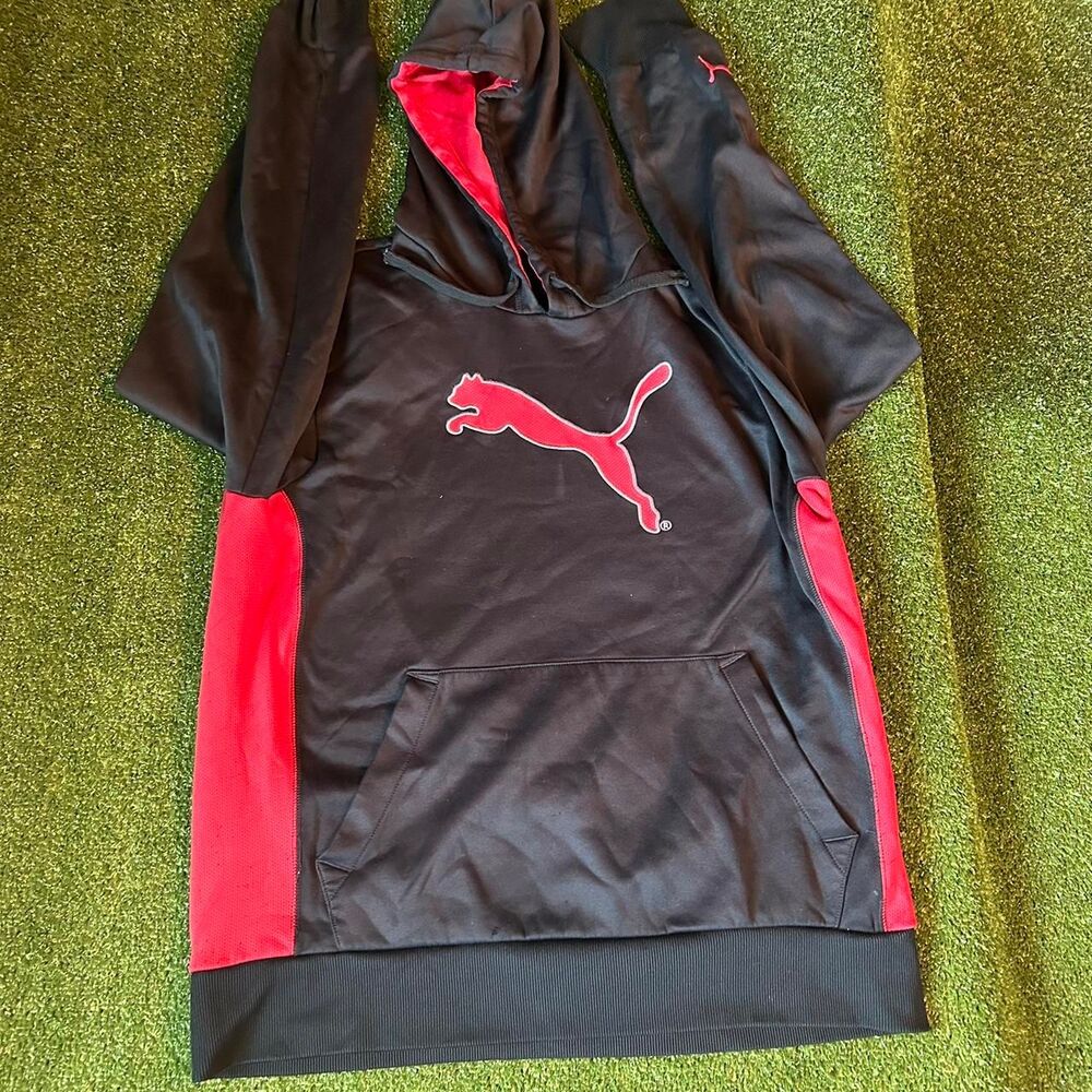 Puma Men's multi Hoodie